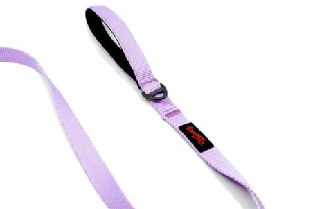 Tailpetz Match Leash Köpek Gezdirme Kayışı Lila Small