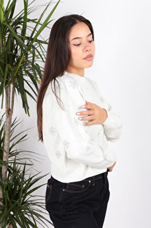 Fashion Friends 24K0268K1 Kadın Desenli Kazak
