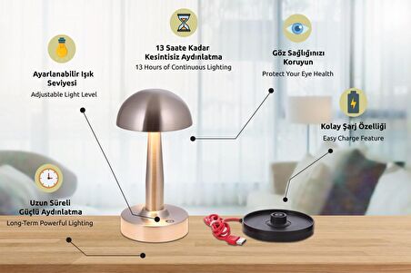 AVONNI ML-64004-N Nikel Kaplama Masa Lambası LED Metal Pleksi 12cm