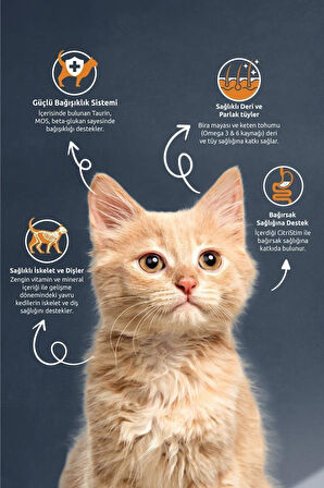 Reflex Kitten Tavuklu Pirinçli Yavru Kedi Maması 2 Kg X 2 Adet