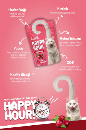 Reflex Happy Hour Sakinleşmeyi Destekleyici Kedi Ödül Maması 60 gr