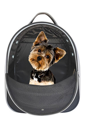 La Vista Yırtılmaz Fileli Paris Kedi, Küçük Köpek Sırt Taşıma Çantası Siyah 32-26-40cm