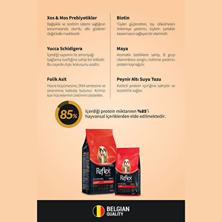 Reflex Plus Kuzu Etli Mini ve Küçük Irk Yetişkin Köpek Maması 3 kg