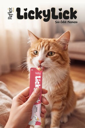 Reflex Plus LickyLick Somonlu Sıvı Ödül Maması 5li PAKET