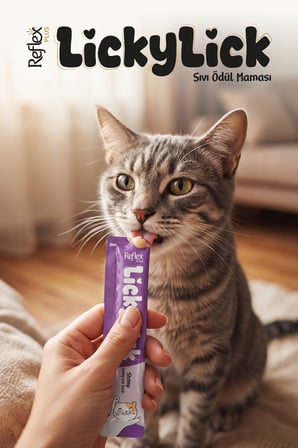 Plus Lickylick Karidesli Sıvı Ödül Maması 60g (4 x 15 g)