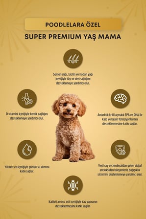 Reflex Plus Pounch Poodle Coat Health Pate Yetişkin Köpek Maması 85 Gr*12li