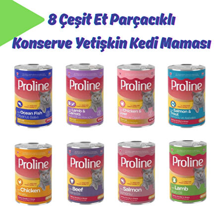 Proline 8 Çeşit Et Parçacıklı Konserve Yetişkin Kedi Maması (Toplam 8 Adet)