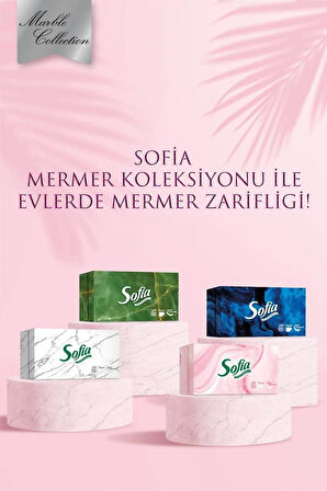 SOFİA Kutu Mendil 4x100'lü