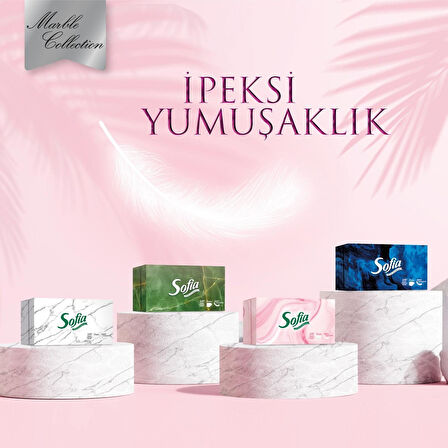 Sofia Kutu Mendil 100 Yaprak 4 Paket