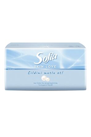 Sofia Skin Love Mendil 100'lü