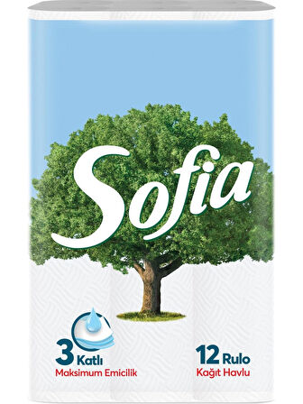 Sofia 12'li Kağıt Havlu