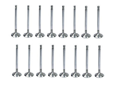 Bmw f20 f30 f32 B38 Sibop Takımı Roocky