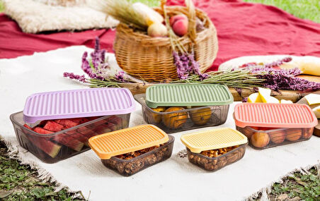 Herevin Beşli Dikdörtgen Gıda Erzak Saklama Kabı Seti - Renkli (Mikrodalga ve Dondurucuya uygundur)