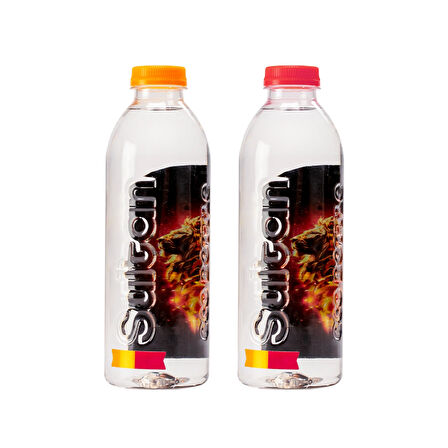 GALATASARAY LİSANSLI FLORYA SUYU 400ML x 12 ADET