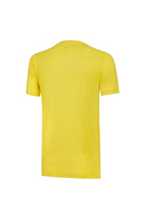 Fenerbahçe Orijinal Puma Sıfır Yaka Sarı T-Shirt Hediyelik Ahşap Kutulu