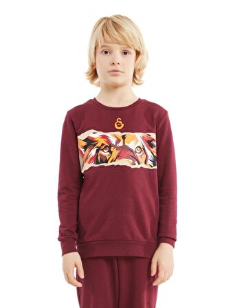 Galatasaray Orijinal Gs Logo Baskılı Bordo Çocuk Sweat