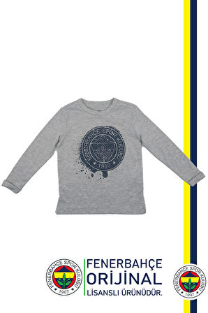 Fenerbahçe Orijinal Lisanslı Yaldızlı Fb Logo Gri Çocuk Sweat