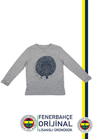 Fenerbahçe Orijinal Lisanslı Yaldızlı Fb Logo Gri Çocuk Sweat Hediyelik Ahşap Kutulu
