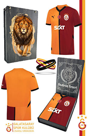 Galatasaray Orijinal Lisanslı 24/25 Parçalı Forma Spor Bileklik Set Aslan Baskılı Hediyel