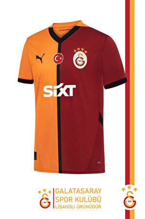 Galatasaray Orijinal Lisanslı 24/25 Parçalı Forma Premium Uçlu Kalem Set Aslan Baskılı He