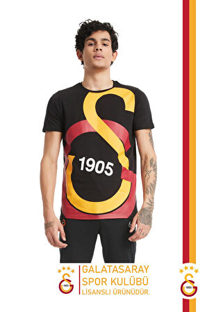 Galatasaray Orijinal Lisanslı Büyük Logolu T-Shirt Gs Aslan Baskılı Hediyelik Ahşap Kutulu