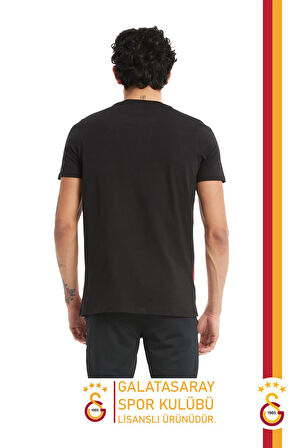 Galatasaray Orijinal Lisanslı Büyük Logolu T-Shirt Gs Aslan Baskılı Hediyelik Ahşap Kutulu