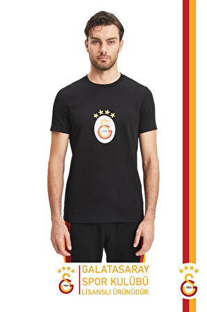 Galatasaray Orijinal Lisanslı Arma T-Shirt