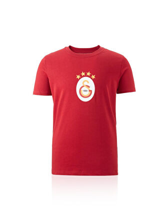 Galatasaray Orijinal Lisanslı Arma T-Shirt