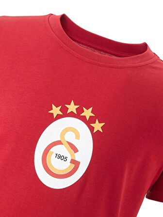 Galatasaray Orijinal Lisanslı Arma T-Shirt Gs Aslan Baskılı Hediyelik Ahşap Kutulu