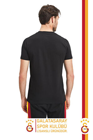 Galatasaray Orijinal Lisanslı Arma T-Shirt Gs Aslan Baskılı Hediyelik Ahşap Kutulu