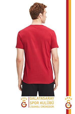 Galatasaray Orijinal Lisanslı Aslan Baskılı T-Shirt