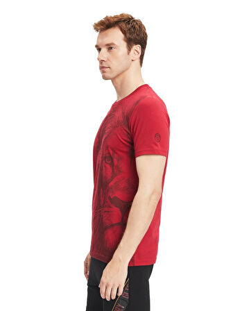 Galatasaray Orijinal Lisanslı Aslan Baskılı T-Shirt