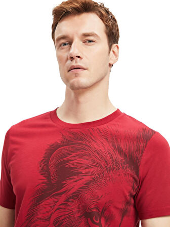 Galatasaray Orijinal Lisanslı Aslan Baskılı T-Shirt Metin Oktay Baskılı Hediyelik Ahşap Kutulu