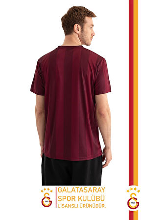 Galatasaray Orijinal Lisanslı Match Day T-Shirt Gs Aslan Baskılı Hediyelik Ahşap Kutulu