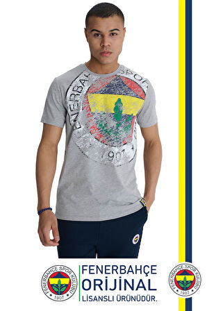 Fenerbahçe Orijinal Lisanslı 6 Renk Logo Gri Tribün T-Shirt 