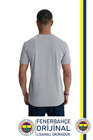 Fenerbahçe Orijinal Lisanslı 6 Renk Logo Gri Tribün T-Shirt 