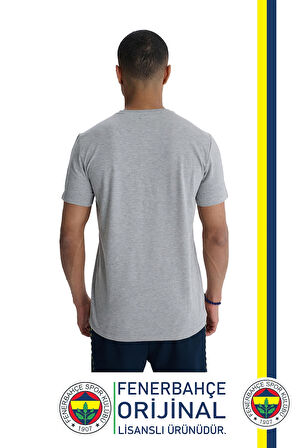 Fenerbahçe Orijinal Lisanslı 6 Renk Logo Gri Tribün T-Shirt Hediyelik Ahşap Kutulu