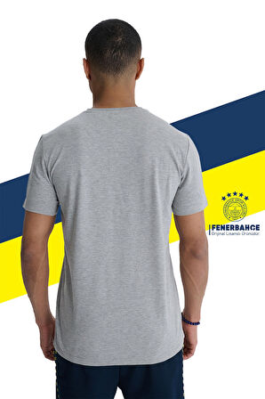 Fenerbahçe Orijinal Lisanslı 6 Renk Logo Gri Tribün T-Shirt + Kalem Set Hediyelik Ahşap  Kutulu