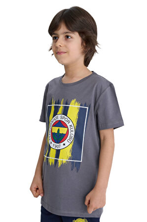 Fenerbahçe Orijinal Renkli Logo Sıfır Yaka Çocuk T-Shirt Hediyelik Ahşap Kutulu