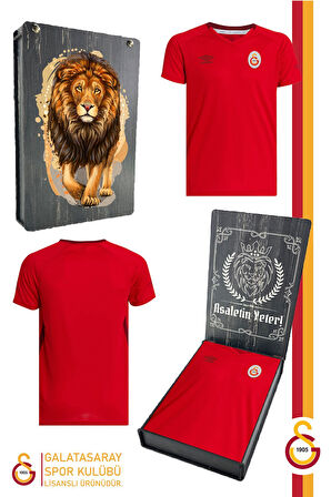 Galatasaray Orijinal Lisanslı Umbro V Yaka Kırmızı T-Shirt Gs Umbro V Yaka Kırmızı Hediyelik Kutulu