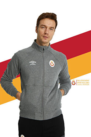 Galatasaray Orijinal Lisanslı Dik Yaka Fermuarlı Gri Sweat Gs Aslan Baskılı Hediyelik Ahşap Kutulu
