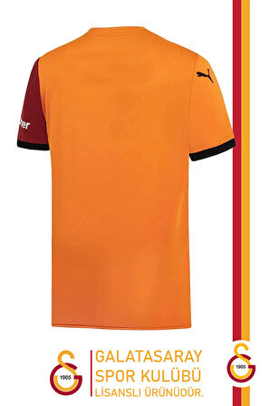 Galatasaray Orijinal 2024/2025 Parçalı İç Saha Taraftar Forma Gs Aslan Baskılı Hediyelik  Kutulu