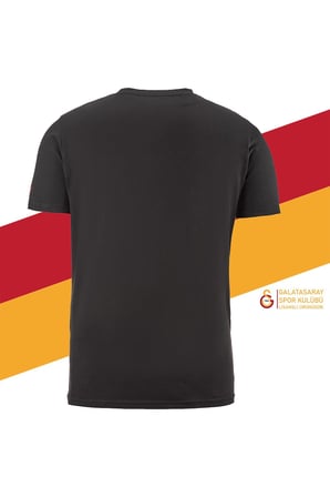 Galatasaray Orijinal Lisanslı Aslan Baskılı T-Shirt + Bileklik Set Hediyelik Ahşap Kutulu