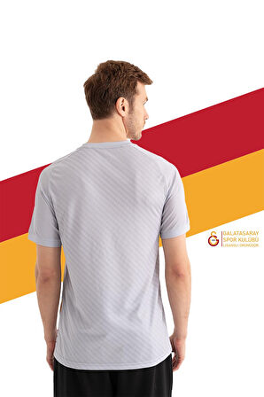 Galatasaray Orijinal Lisanslı Match Day Gri T-Shirt Gs Match Day Gri Hediyelik Ahşap Kutulu