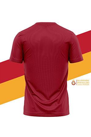 Galatasaray Orijinal Lisanslı 5 Yıldızlı Sarı Kırmızı Erkek T-Shirt