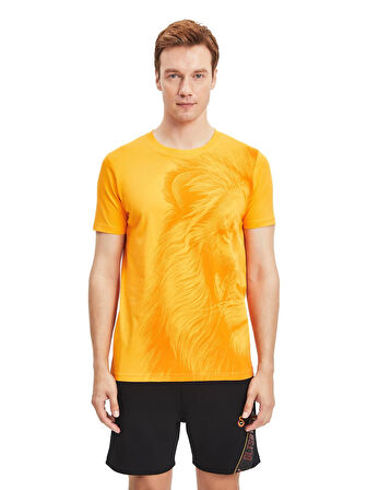 Galatasaray Orijinal Lisanslı Aslan Baskılı Sarı T-Shirt