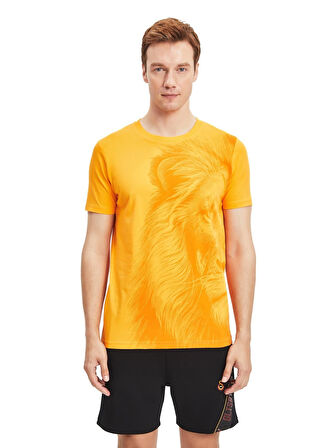 Galatasaray Orijinal Lisanslı Aslan Baskılı Sarı T-Shirt Gs Aslan Baskılı Hediyelik Ahşa