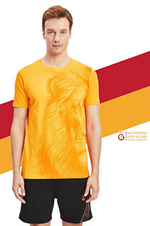 Galatasaray Orijinal Lisanslı Aslan Baskılı Sarı T-Shirt + Bileklik Set Hediyelik Ahşap 