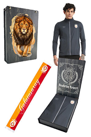 Galatasaray Orijinal Lisanslı 5 Yıldızlı Fermuarlı Antrasit Sweat Hediyelik Ahşap Kutulu