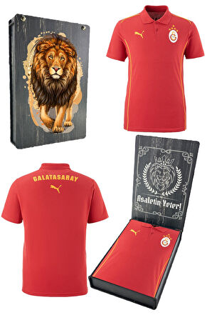 Galatasaray Orijinal Lisanslı Polo Yaka Kırmızı Antrenman 5 Yıldızlı T-Shirt Gs Aslan Ba